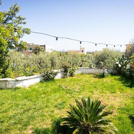 Green House Bed & Breakfast Monopoli Ngoại thất bức ảnh