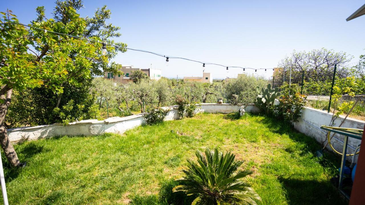 Green House Bed & Breakfast Monopoli Ngoại thất bức ảnh