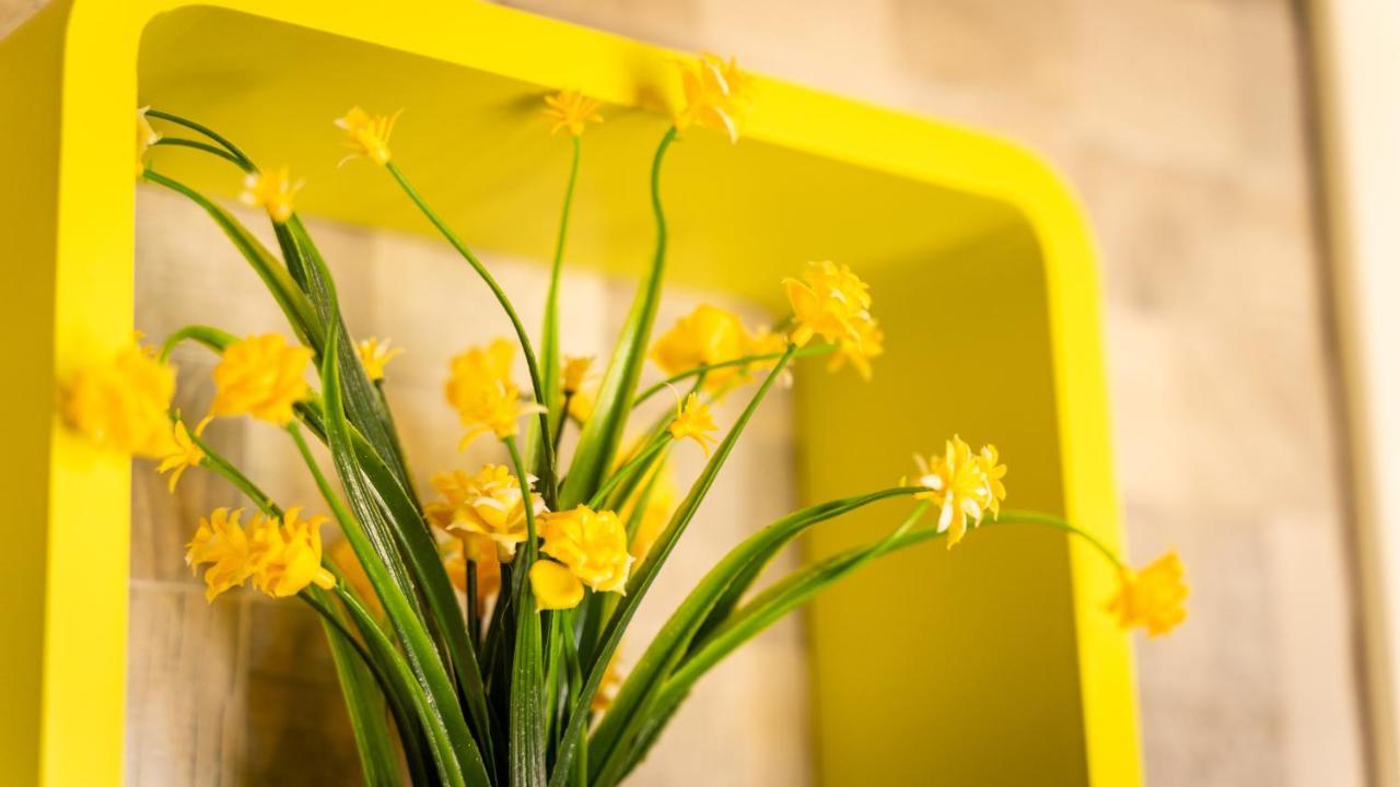 Green House Bed & Breakfast Monopoli Ngoại thất bức ảnh