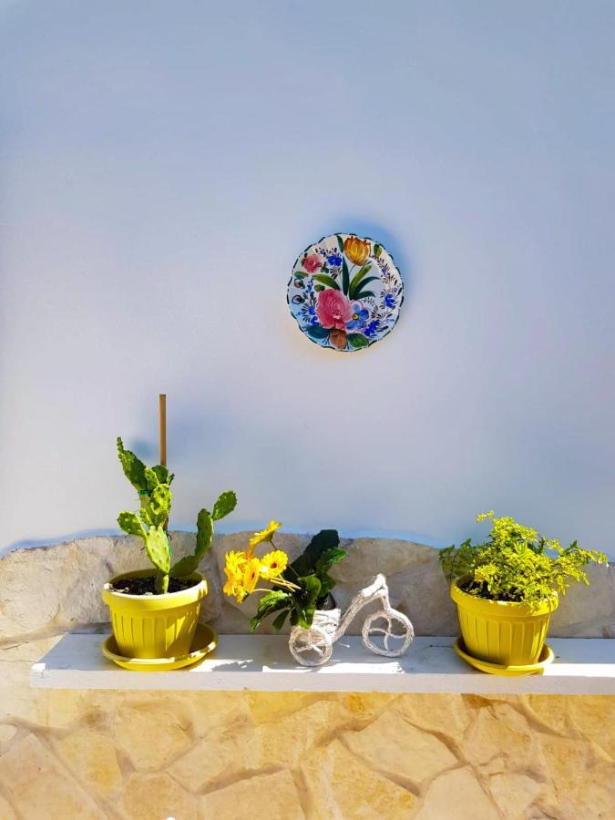Green House Bed & Breakfast Monopoli Ngoại thất bức ảnh